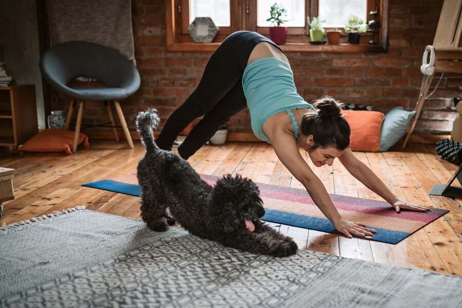 các dụng cụ tập Gym tại nhà