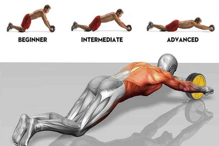 các máy tập bụng ở phòng gym