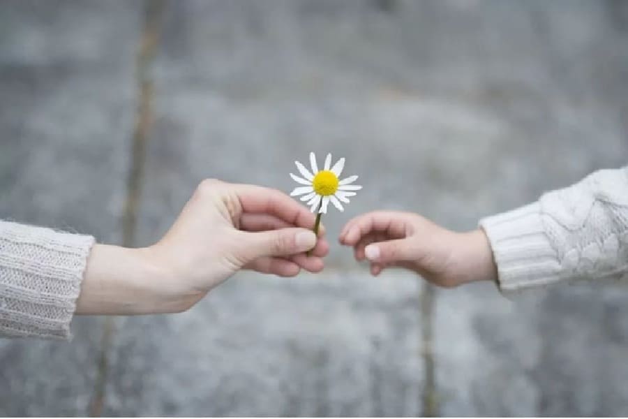 câu nói hay về giá trị cuộc sống
