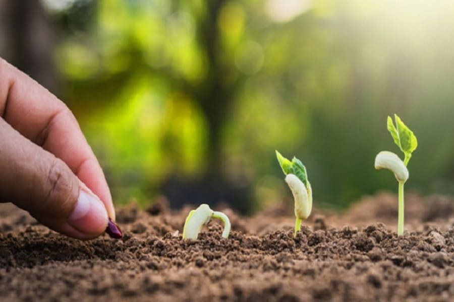 câu nói hay về giá trị cuộc sống