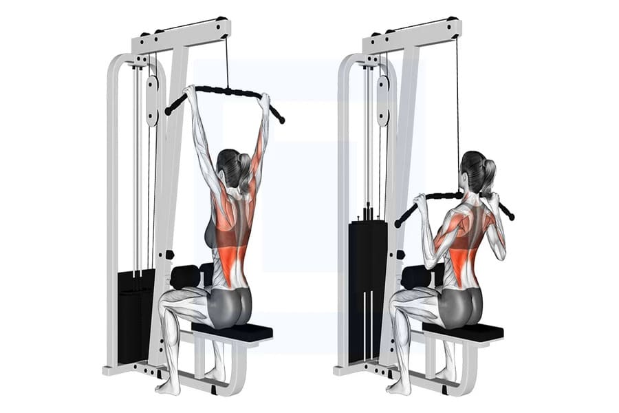 lịch tập gym cho nữ 6 ngày