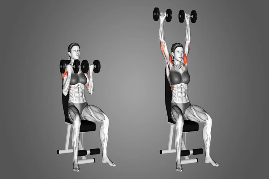 lịch tập gym cho nữ 6 ngày