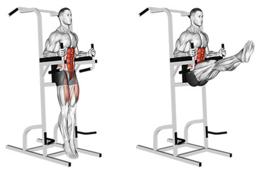 máy gập bụng phòng Gym