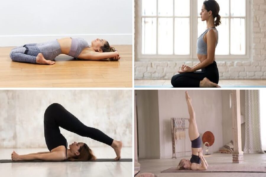nên tập gym hay yoga