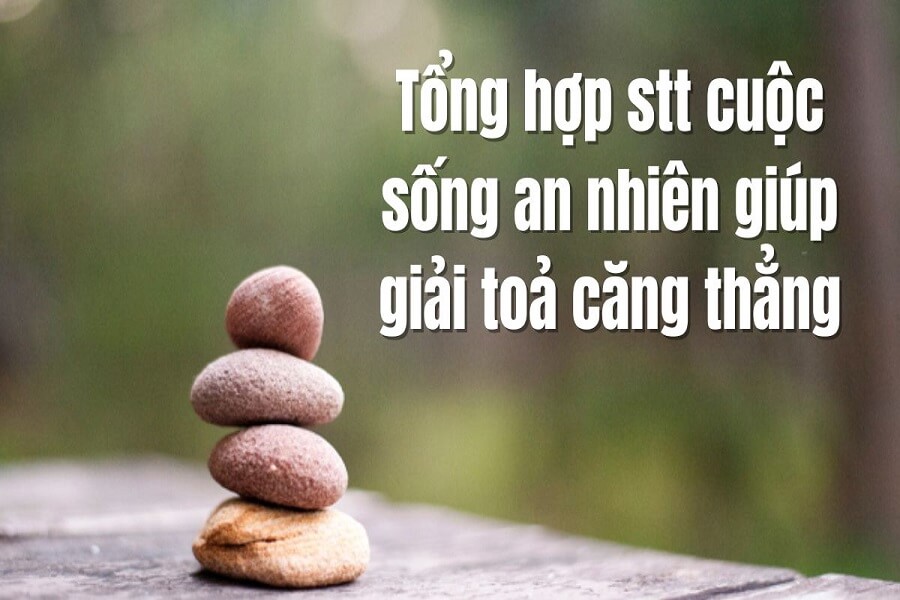 stt hay về cuộc sống