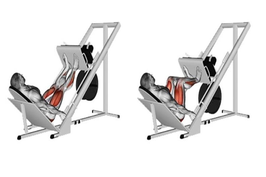 tên các bài tập Gym