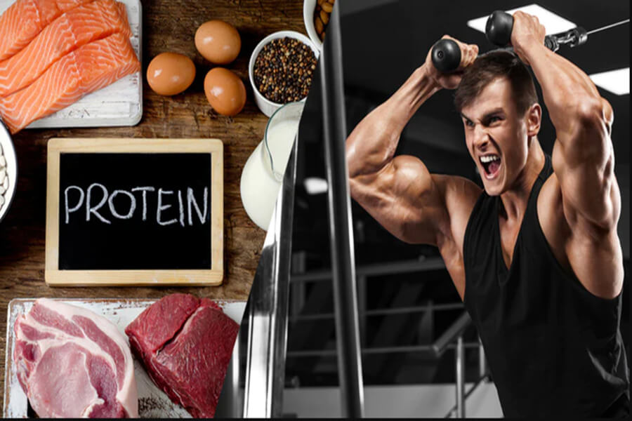 thực đơn tập gym tăng cân