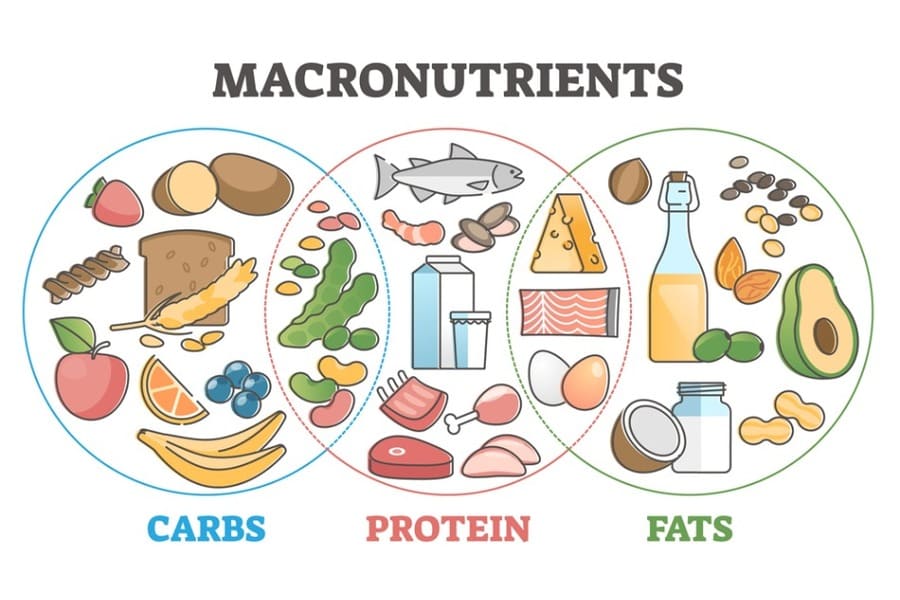 carbs là gì trong giảm cân