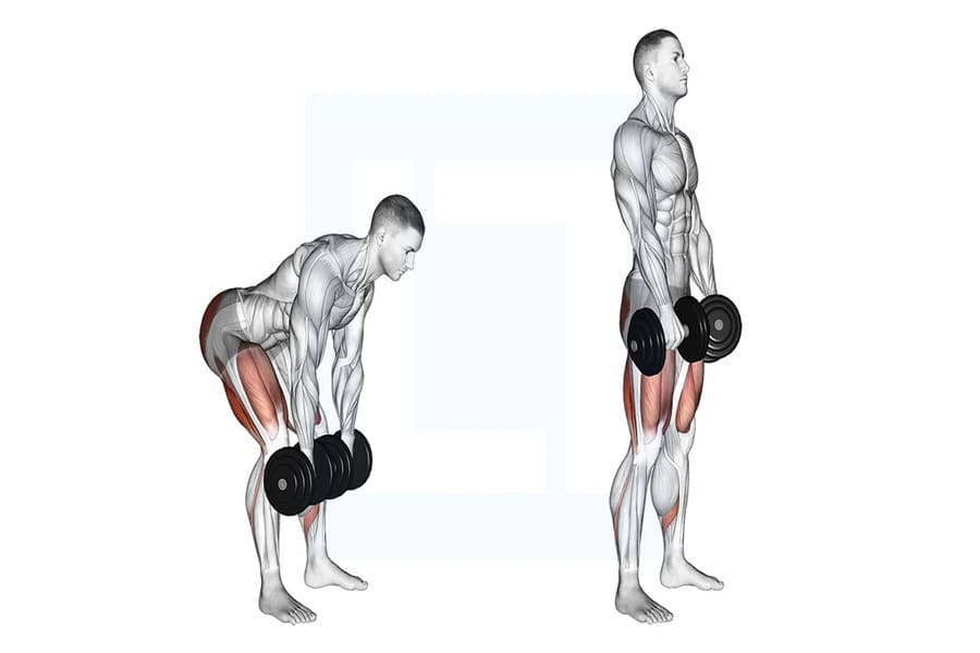 lịch tập gym cho nam 5 ngày