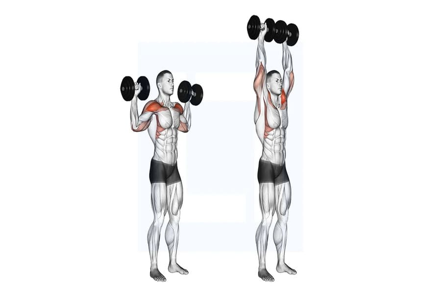 lịch tập gym cho nam 5 ngày