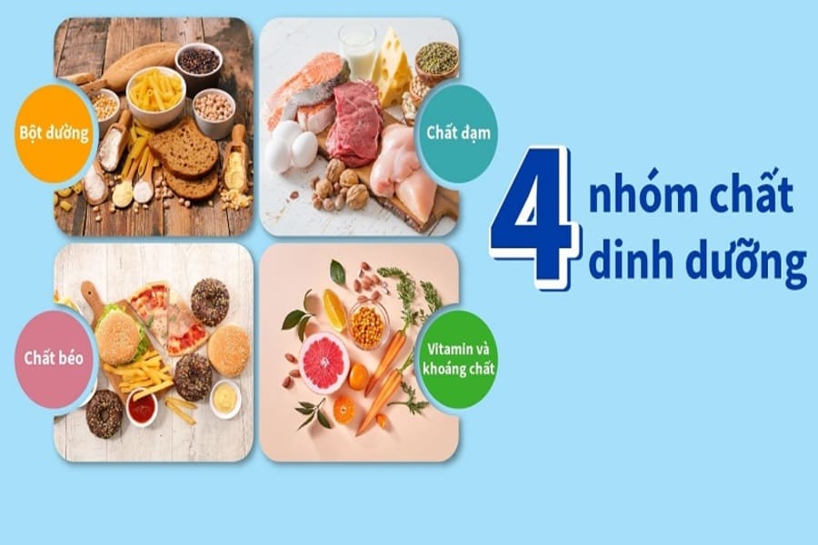 lộ trình tập gym cho người mới bắt đầu