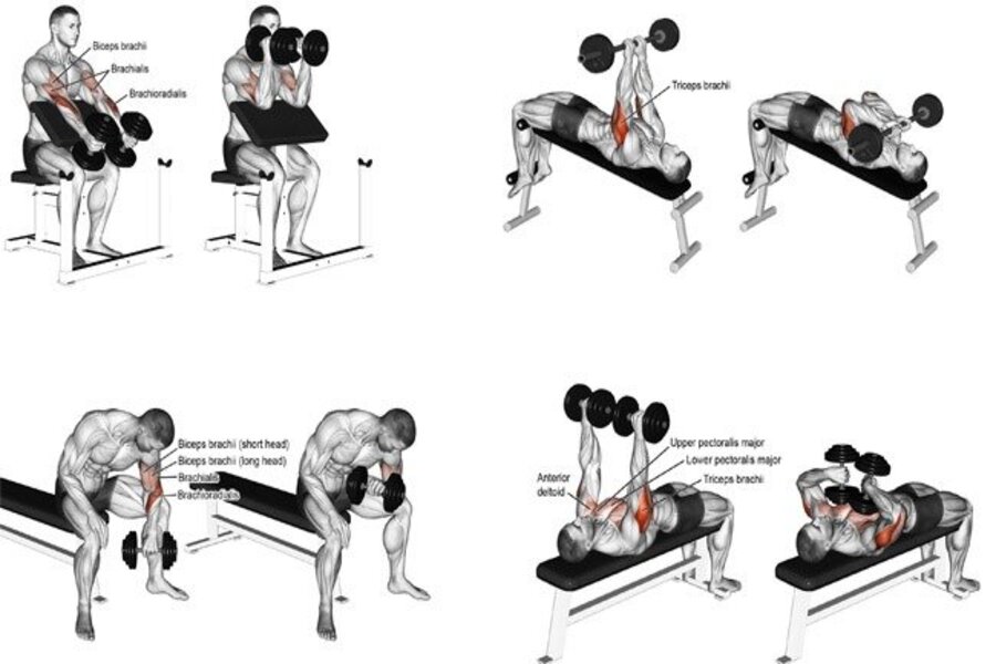 các bài tập tạ