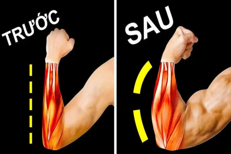 các bài tập tay cho nam