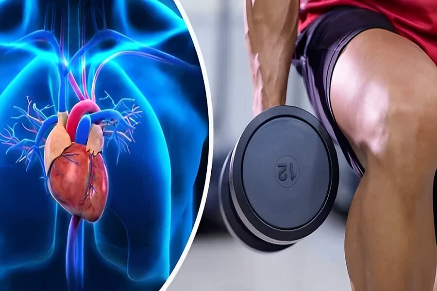 các bài tập thân trên cho nữ