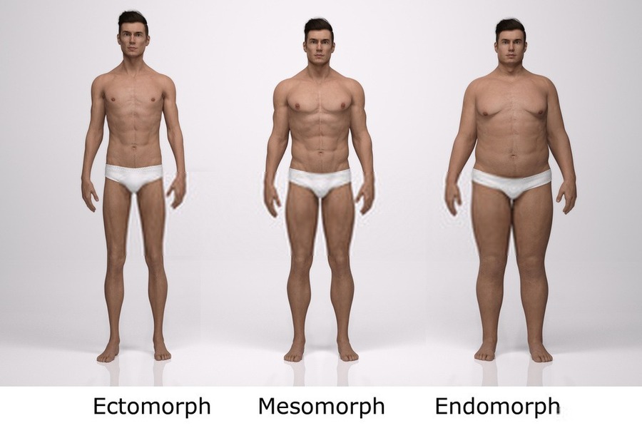 các loại body trong Gym