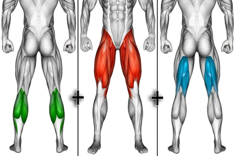 lịch tập Gym cho nam 6 ngày 1 tuần