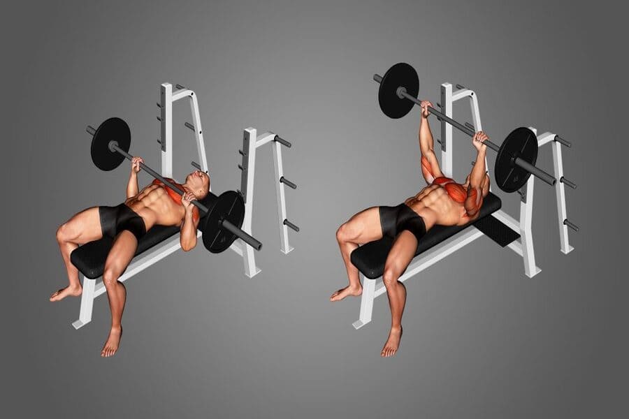 lịch tập gym cho người mới nam