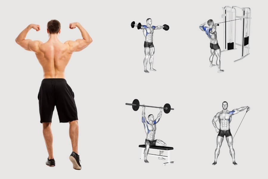 thời khóa biểu tập gym cho nam