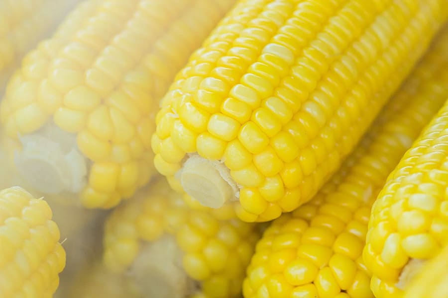 1 trái bắp Mỹ bao nhiêu calo