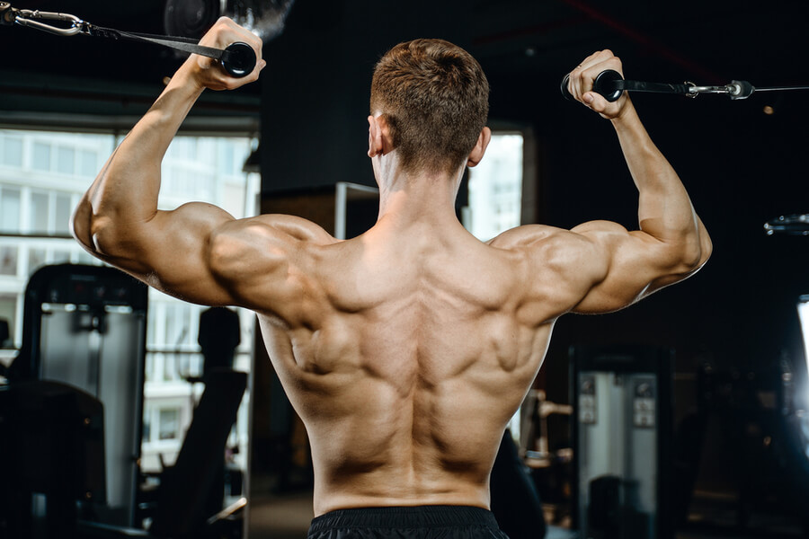Back trong Gym là gì