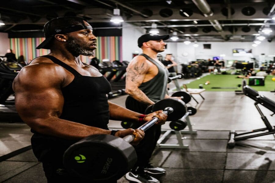 bulk là gì trong gym