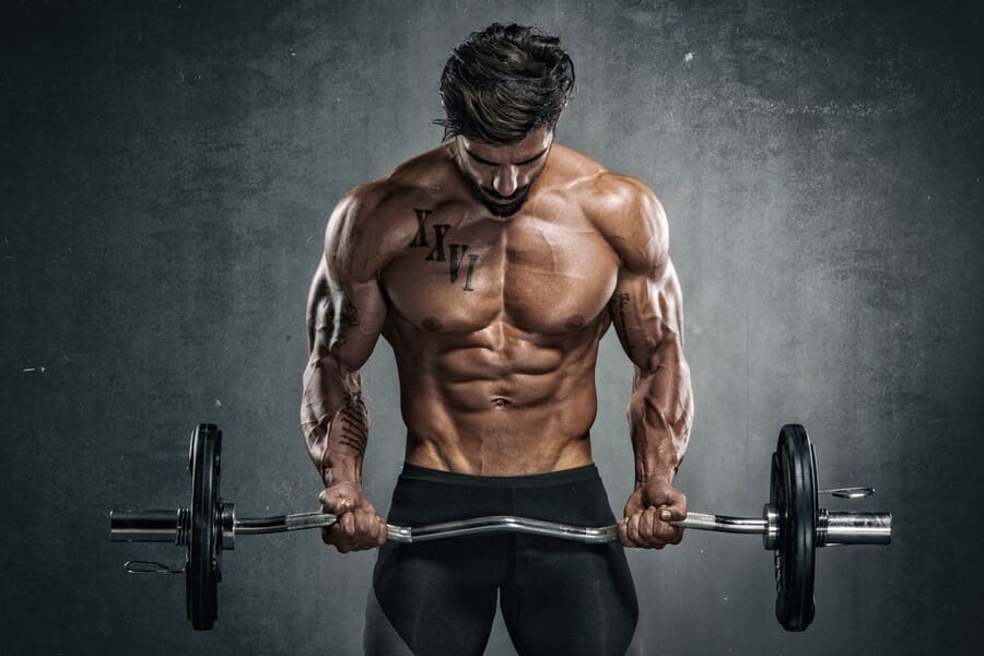 bulk là gì trong gym