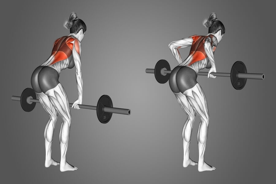 Compound gym là gì