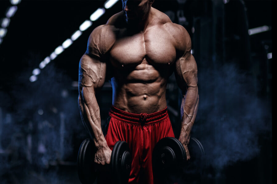 bulk gym là gì