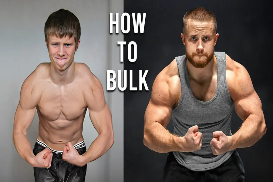 bulk gym là gì