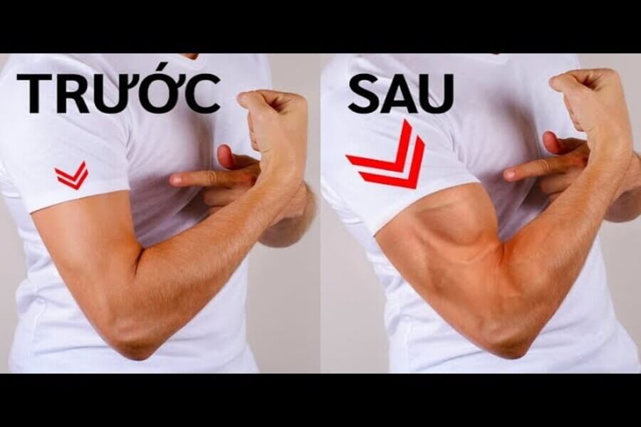 các bài tập cơ tay tại nhà