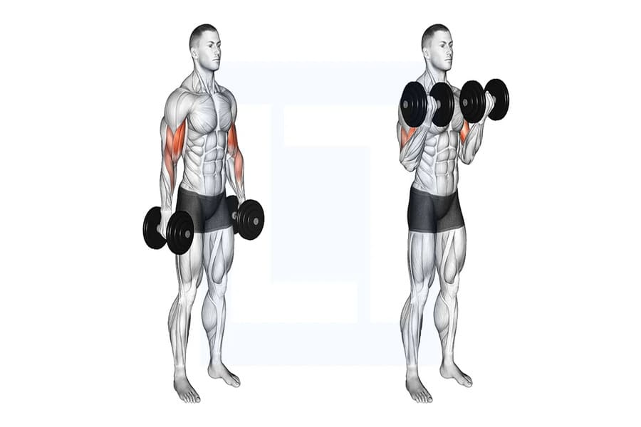 các bài tập tay trước tại nhà