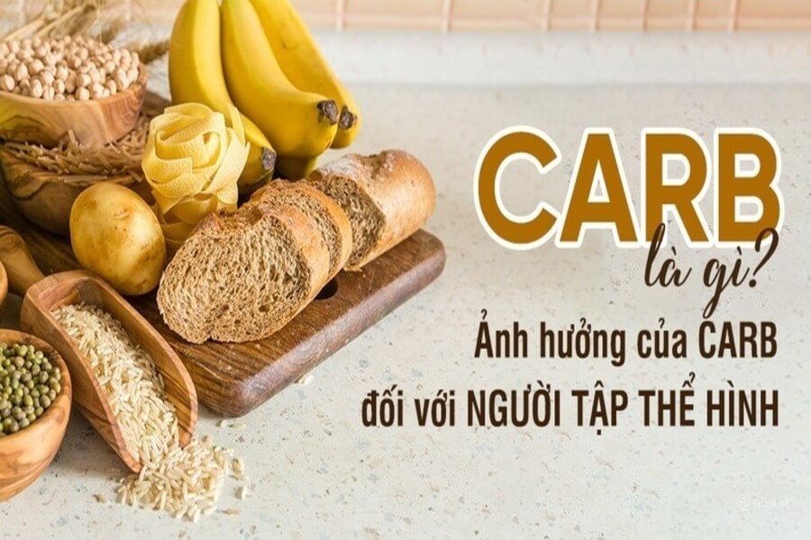 Carb là gì trong gym
