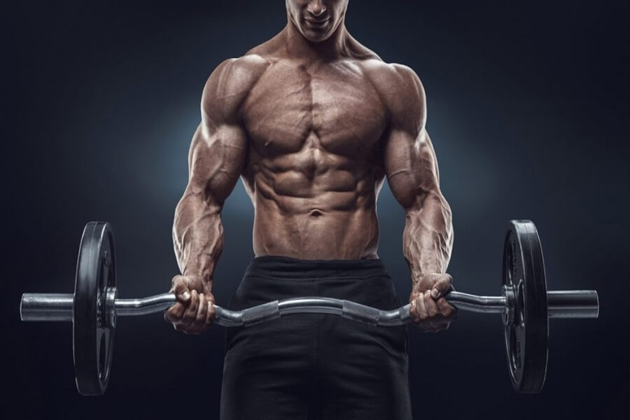 chest trong gym là gì