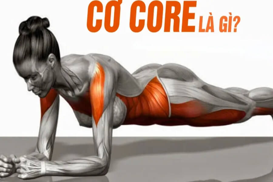 core trong gym là gì