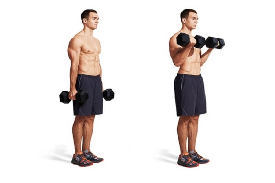 curl trong gym là gì