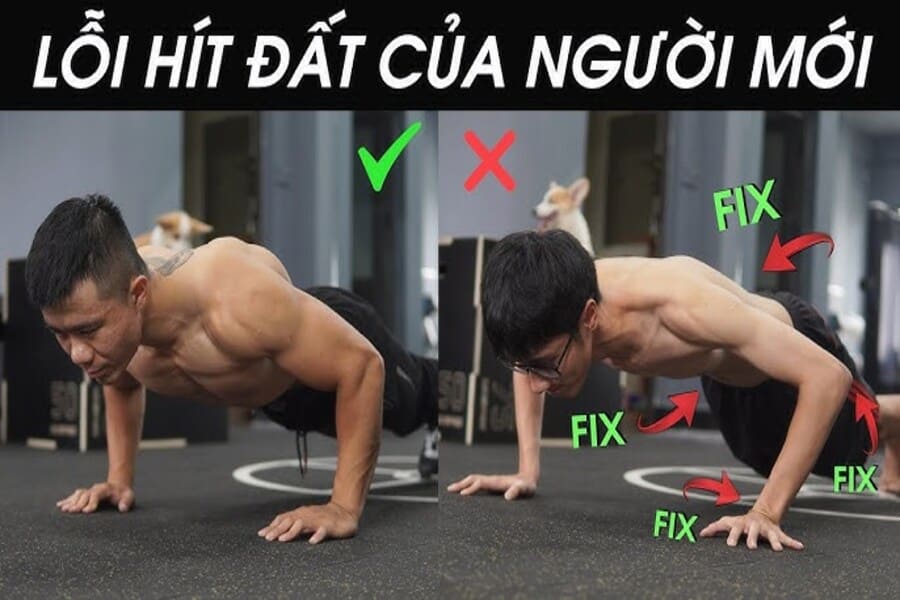 hít đất có giảm mỡ bụng không