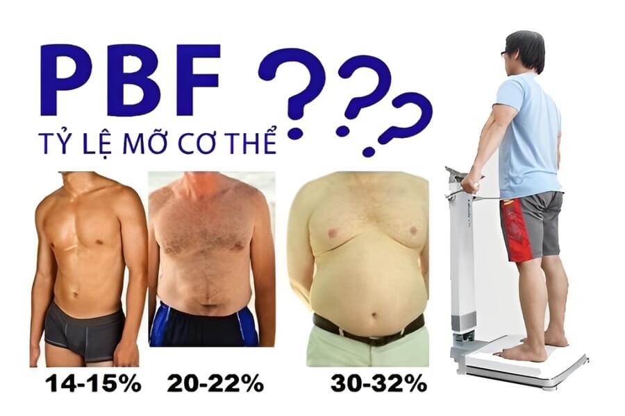 pbf là gì trong gym