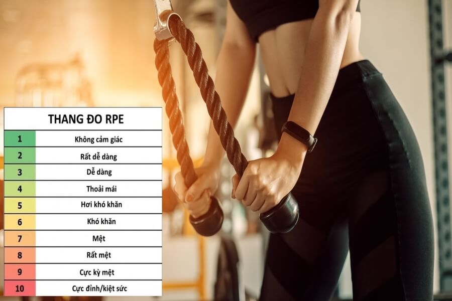 rpe trong gym là gì