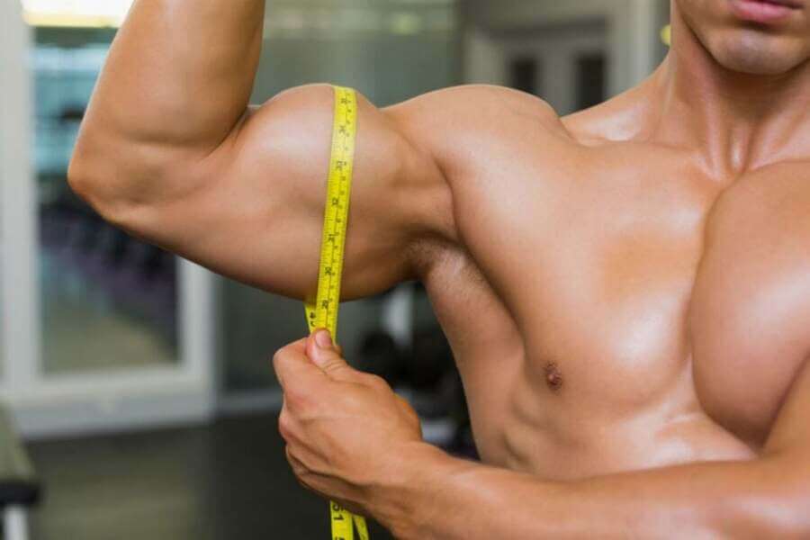 set là gì trong gym