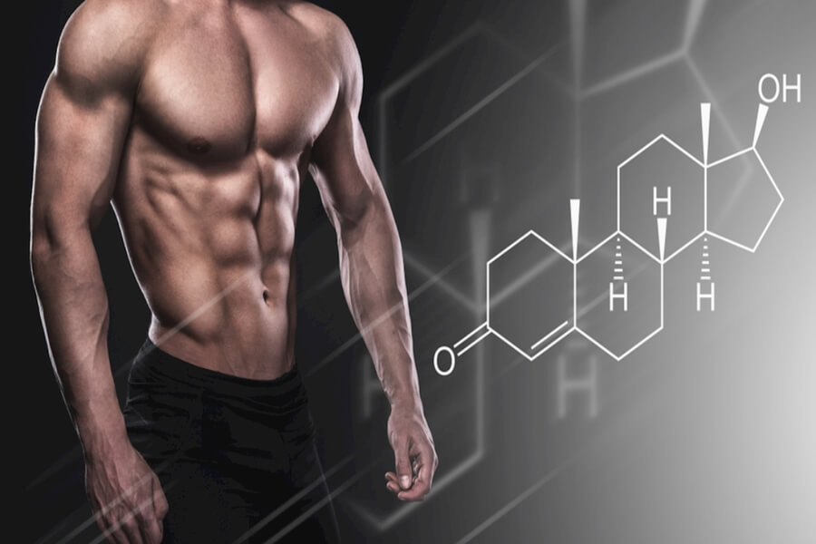 steroid gym là gì