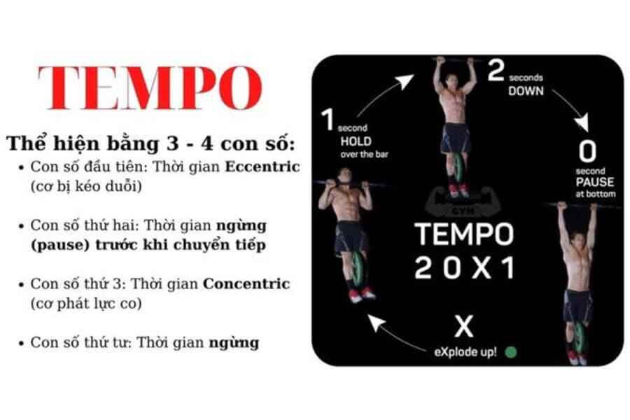tempo là gì