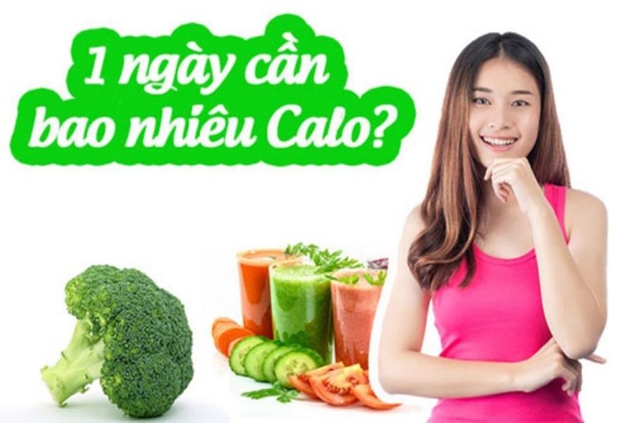 1 ngày cần bao nhiêu calo