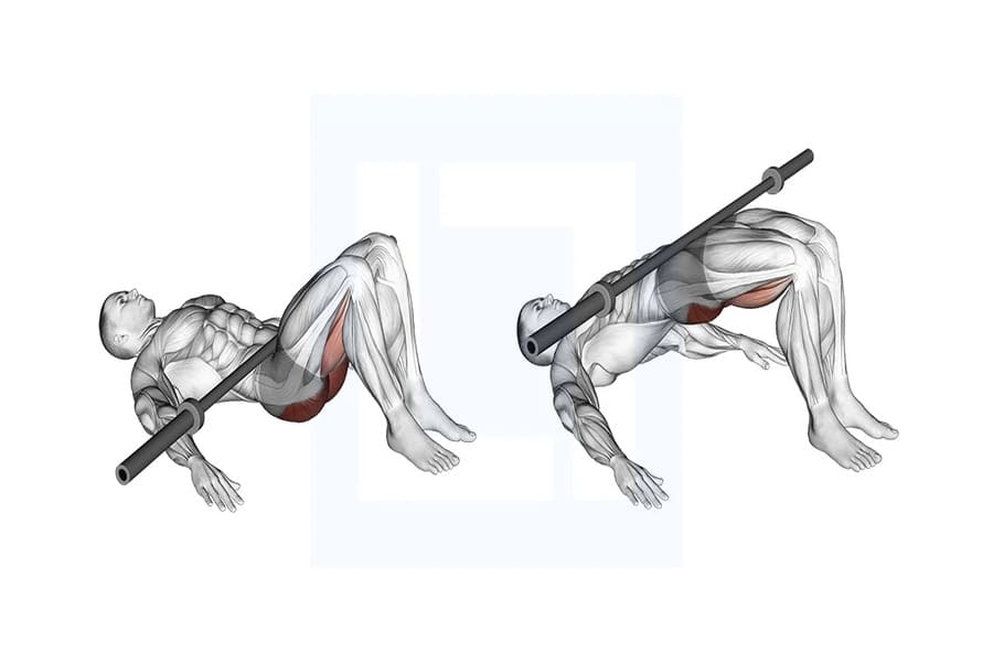 core trong tập gym là gì
