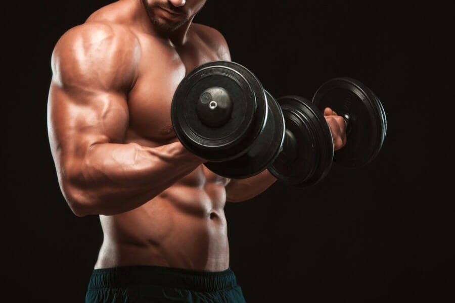 cutting là gì trong gym