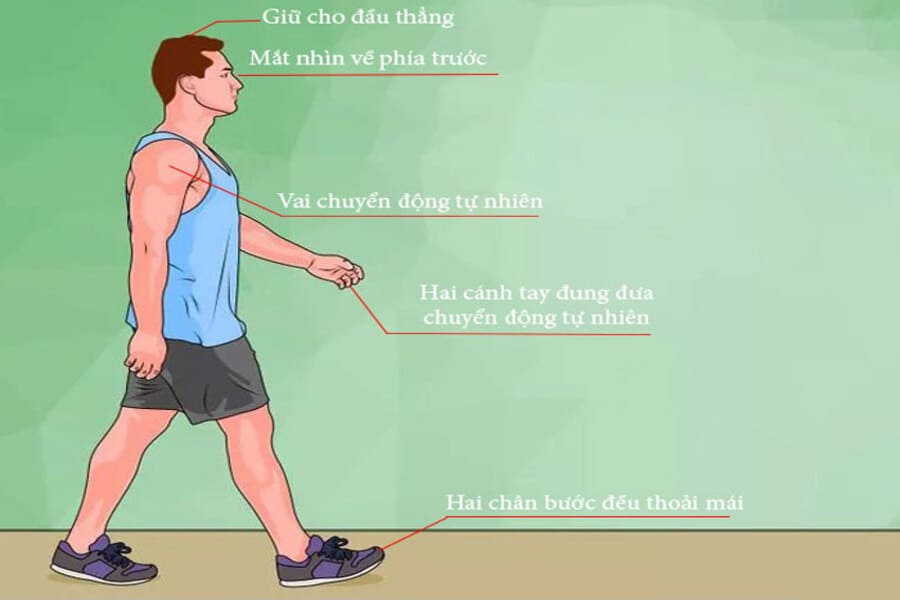 Đi bộ đốt bao nhiêu calo