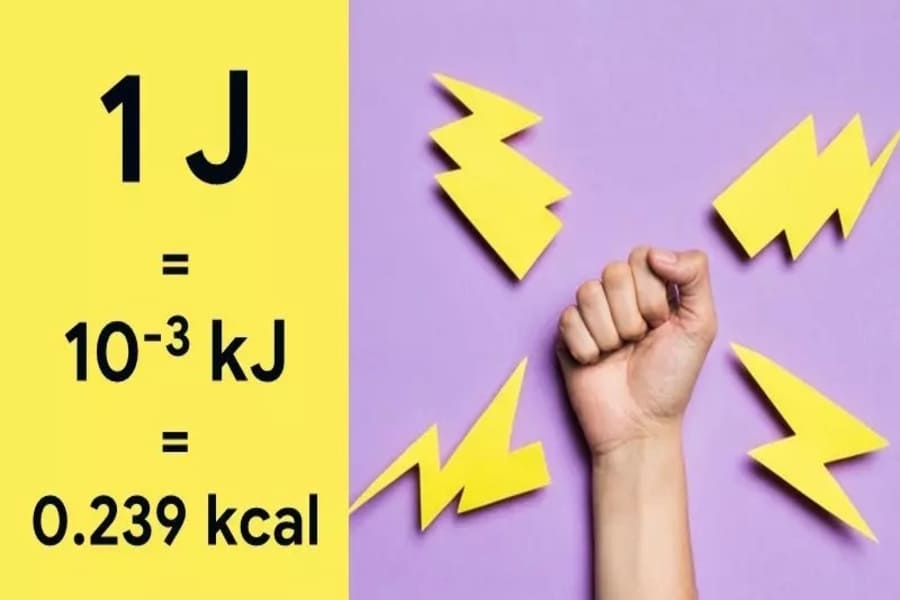 đổi kj sang calo
