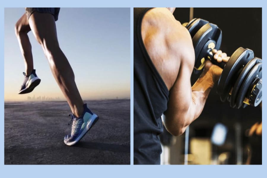 Gym và fitness là gì
