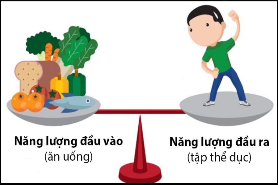 Ăn bao nhiêu calo để giảm cân