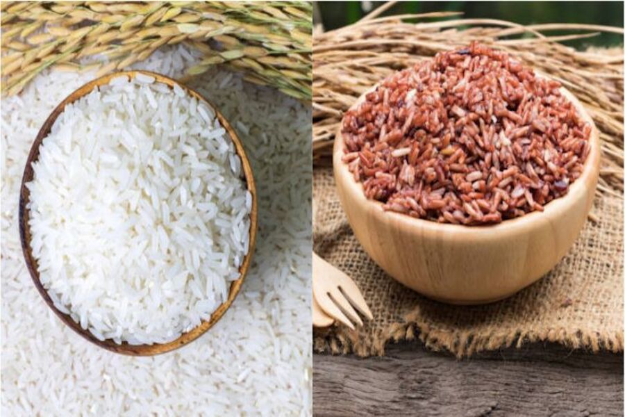 Calo của cơm