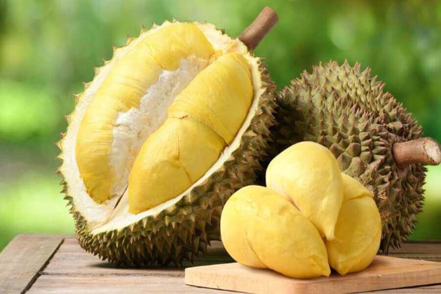 calo của sầu riêng